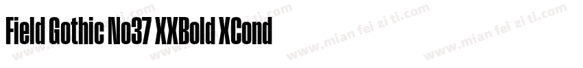 Field Gothic No37 XXBold XCond字体转换
